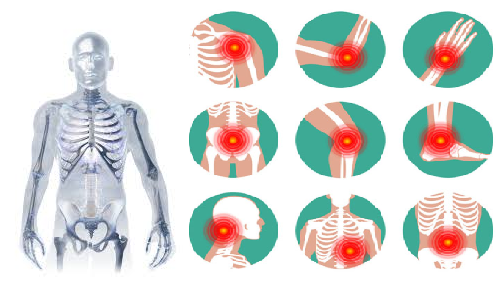 বাংলাদেশের সেরা হাড়জোড়া বিশেষজ্ঞ ডাক্তার