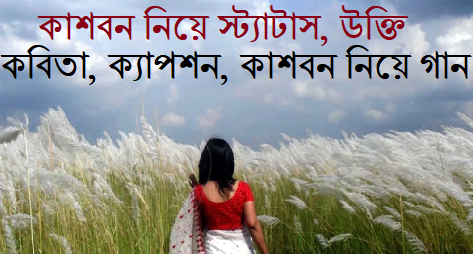 কাশবন নিয়ে স্ট্যাটাস, উক্তি, কবিতা, ক্যাপশন, কাশবন নিয়ে গান