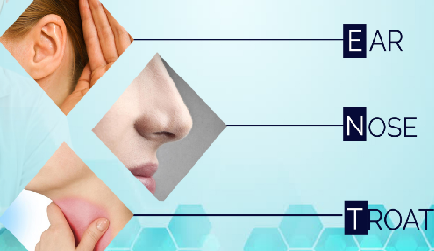 নাক কান গলা বিশেষজ্ঞ ঢাকা