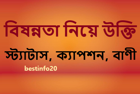 বিষন্নতা নিয়ে উক্তি, স্ট্যাটাস, ক্যাপশন, বাণী