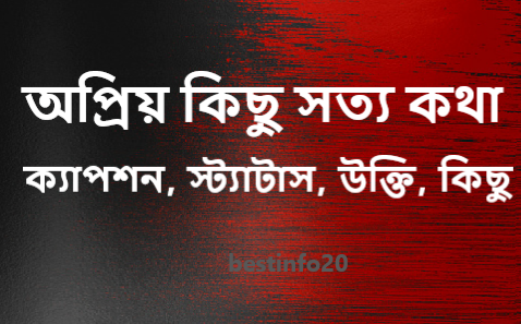 ক্যাপশন, স্ট্যাটাস, উক্তি, কিছু