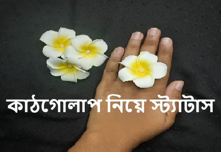 কাঠগোলাপ নিয়ে স্ট্যাটাস