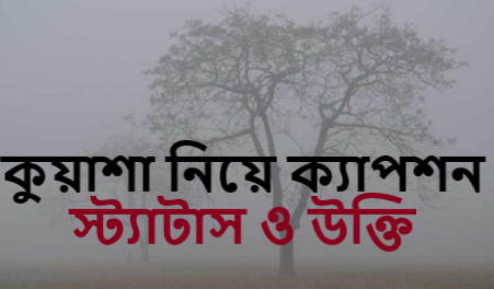 কুয়াশা নিয়ে ক্যাপশন, স্ট্যাটাস ও উক্তি