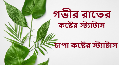 গভীর রাতের কষ্টের স্ট্যাটাস | চাপা কষ্টের স্ট্যাটাস