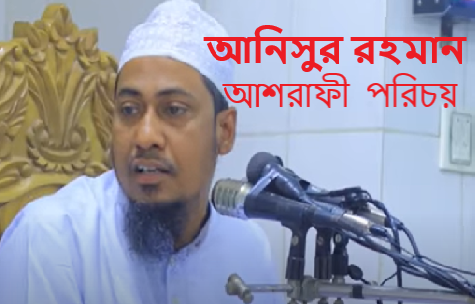আনিসুর রহমান আশরাফীর পরিচয়