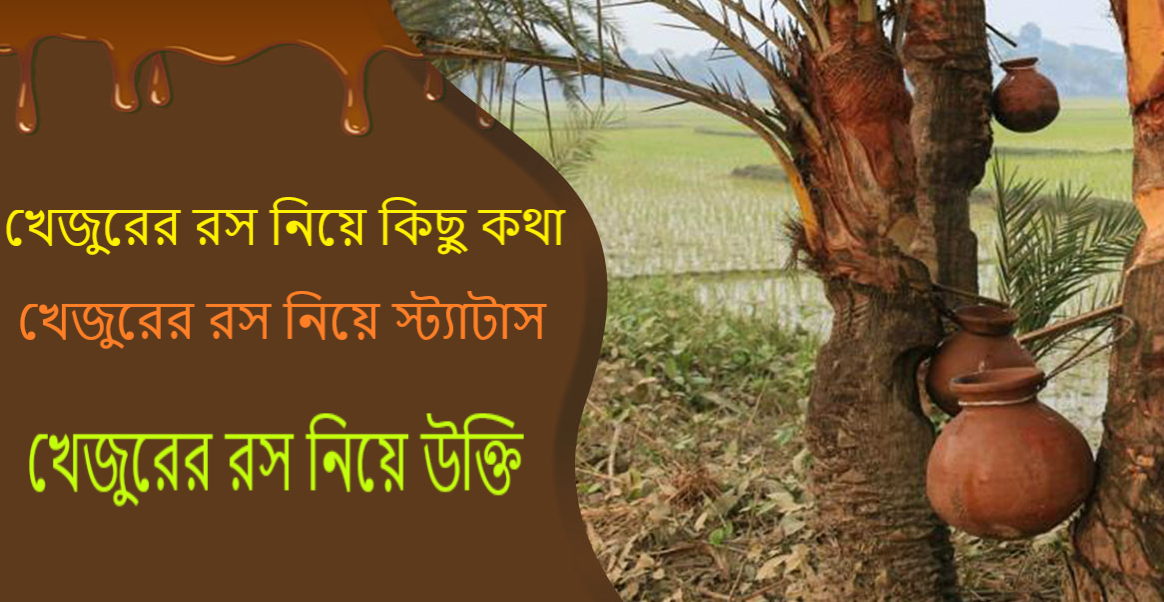 খেজুরের রস নিয়ে কিছু কথা