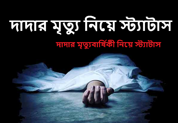 দাদার মৃত্যু নিয়ে স্ট্যাটাস