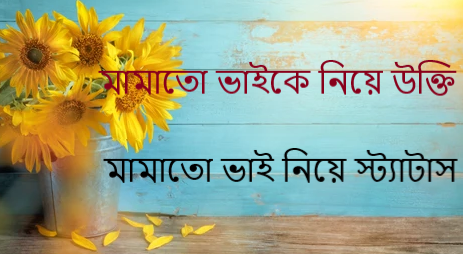মামাতো ভাই নিয়ে স্ট্যাটাস