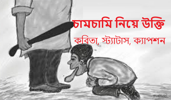 চামচামি নিয়ে উক্তি