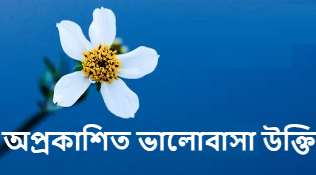 অপ্রকাশিত ভালোবাসা উক্তি