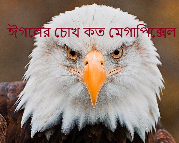 ঈগলের চোখ কত মেগাপিক্সেল