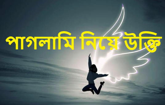 পাগলামি নিয়ে উক্তি
