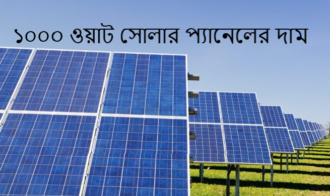 ১০০০ ওয়াট সোলার প্যানেলের দাম কত
