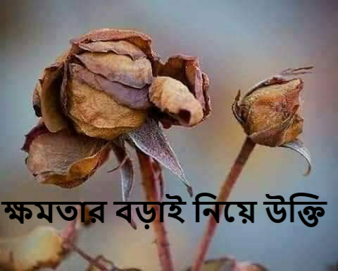 ক্ষমতার বড়াই নিয়ে উক্তি