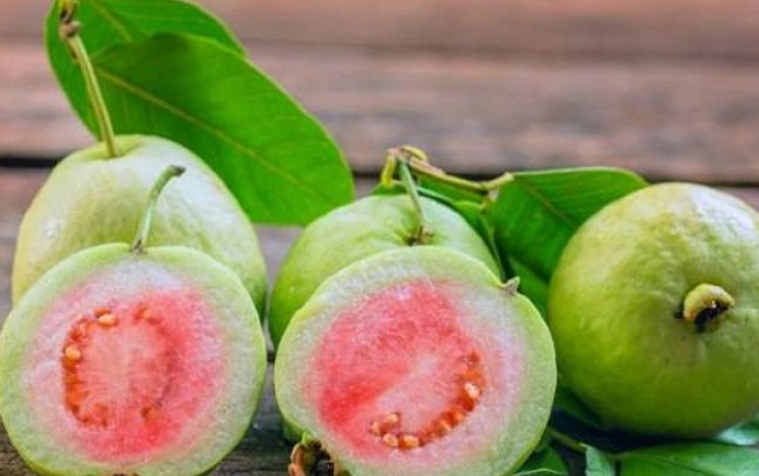 পেয়ারা নিয়ে উক্তি