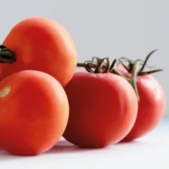 EU anuncia aranceles de 21% a tomates mexicanos a partir julio EU anuncia aranceles de 21% a tomates mexicanos a partir julio