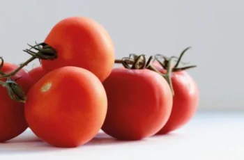 EU anuncia aranceles de 21% a tomates mexicanos a partir julio