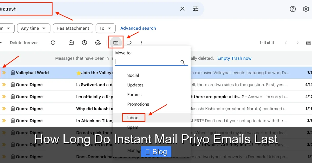 How Long Do Instant Mail Priyo Emails Last