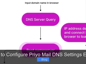 How to Configure Priyo Mail DNS Settings Easily