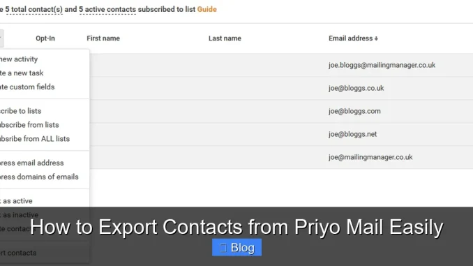 How to Export Contacts from Priyo Mail Easily