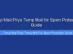 Temp Mail Priyo Temp Mail for Spam Protection Guide