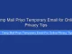 Temp Mail Priyo Temporary Email for Online Privacy Tips