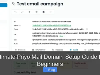 Ultimate Priyo Mail Domain Setup Guide for Beginners