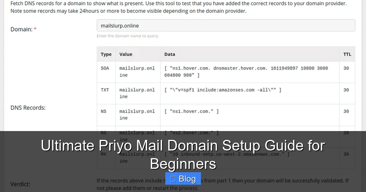 Ultimate Priyo Mail Domain Setup Guide for Beginners